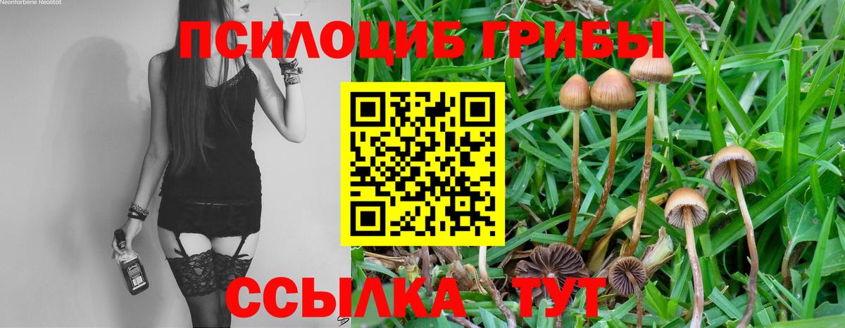 Галлюциногенные грибы Cubensis  цена   Глазов  Псилоцибиновые грибы Psilocybine cubensis  Вход с VPN 